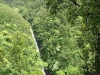 Akaka Falls State Park 20